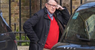 Mandelson to be hit with fine of up to £300 for urinating in the street