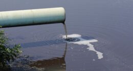 Massive DC Sewage Spill Caused by Environmental Review That Dragged on for Years – HotAir