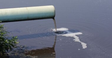 Massive DC Sewage Spill Caused by Environmental Review That Dragged on for Years – HotAir