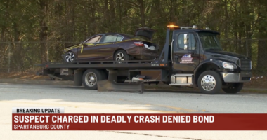 Media Ignore Illegal Alien Allegedly Killing 2 Boys With His Car