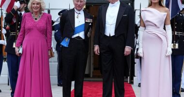 Melania Trump looked effortlessly chic as she slipped into a pink strapless gown for this evening's state dinner