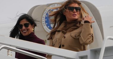 Melania Trump's New AI Abuse Law Gets Its First Conviction in Ohio Guilty Plea – RedState