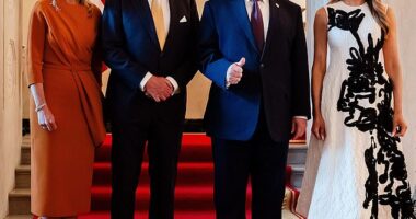 King Willem-Alexander and Queen Maxima stood for pictures with President Donald Trump and his wife Melania Trump at the White House on Monday