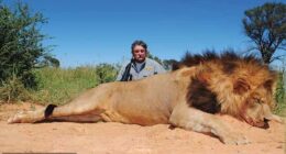 Californian vineyard owner Ernie Dosio, 75, pictured with a dead lion, was ambushed and killed by five elephants whilst hunting