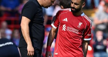 Mohamed Salah went off injured for Liverpool against Crystal Palace and the outlook is bleak