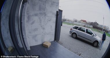 A woman has detailed the terrifying encounter where her 'creepy' mailman began turning up at her home unannounced, occasionally without any parcels, just to say hello (stock image)