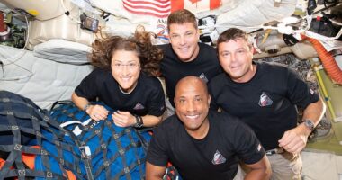 NASA's Artemis II astronauts send first messages and display surprising ability after moon mission