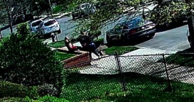 Three people were stabbed on 229th Street in Laurelton, Queens, Thursday morning after a confrontation over a dog peeing on grass escalated. The attack was captured on video