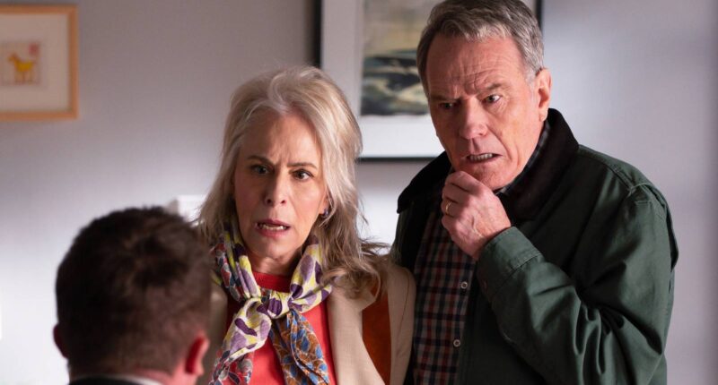 Netflix's 9-Part Sitcom Is a Better 'Malcolm in the Middle' Replacement Than You'd Expect