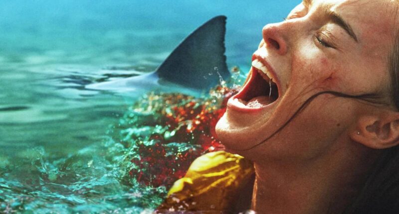 Netflix's New Shark Thriller Is Officially Taking Over the World