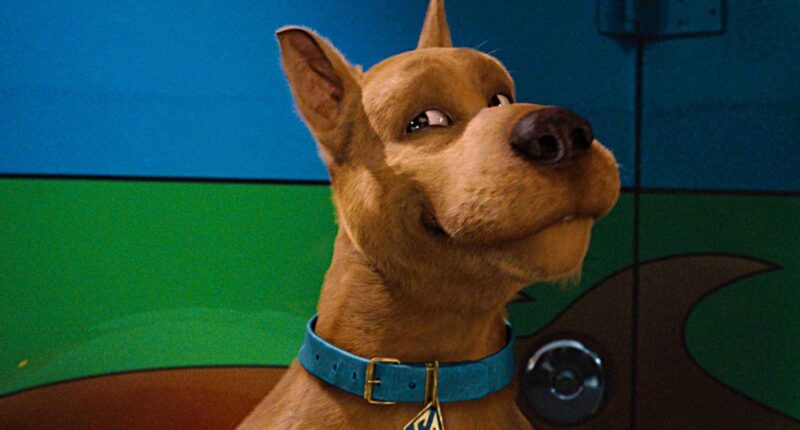 New ‘Scooby-Doo’ Series Will Reinvent the Franchise