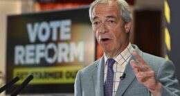 Attack: Nigel Farage revealed arsonists pushed a firebomb through the letterbox of his home