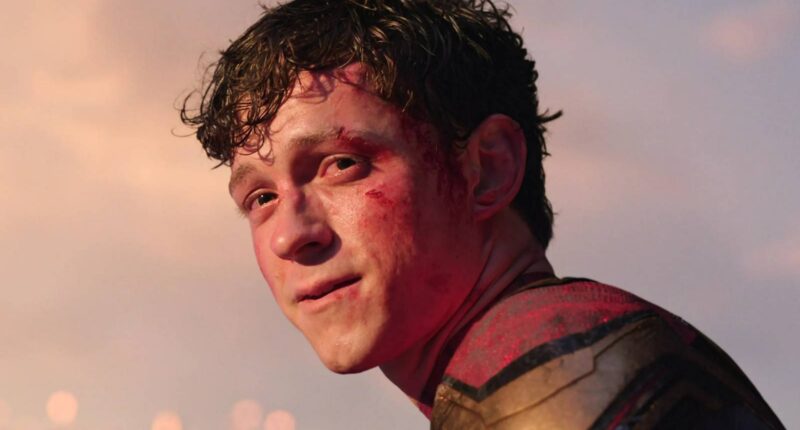 No Way Home's Box Office