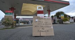 Not just ‘complacency.’ Here’s why asset markets are so resilient when it comes to energy shocks.