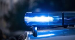 Now There's This: Fugitive Found in AC Vent