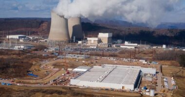 Nuclear Chief Busted on Hidden Camera Dropping Sensitive Info