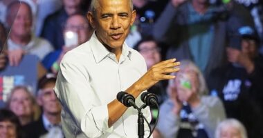President Barack Obama (pictured in 2024) has come under fire for suggesting a motive for the shooting at the White House Correspondents' Dinner remains unclear