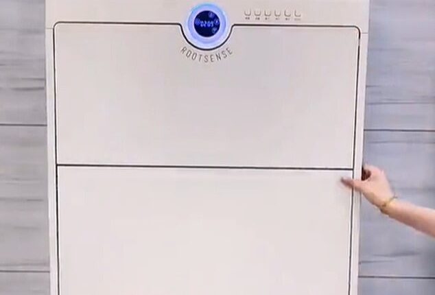 A quick scroll through social media shows people in South Korea sharing their impressive gadgets, which include a $599 shoe cabinet (pictured) that eradicates bacteria and unpleasant smells with its smart technology, under the hashtag Korean cleaning