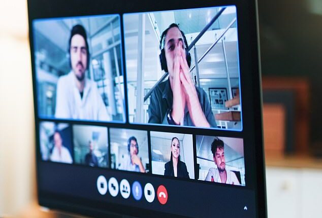 An employee has detailed the moment she almost 'died' from laughter when she overheard her boss's awkward chat with his cat after he forgot to mute his Zoom call (stock image)