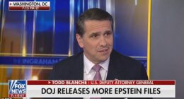 Deputy Attorney General Todd Blanche said it's 'not a crime to party' with late convicted child sex offender Jeffrey Epstein