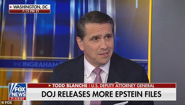 Deputy Attorney General Todd Blanche said it's 'not a crime to party' with late convicted child sex offender Jeffrey Epstein