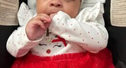 Kaori had just learnt to say 'mama' and was sat in her stroller when gunshots rang through East Williamsburg on Wednesday afternoon and struck the seven-month-old