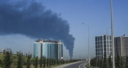 Pariah Capital won the first quarter — and it’s winning the war