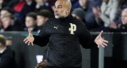 Pep Guardiola has admitted he is concerned about the Wembley pitch ahead of the title run-in