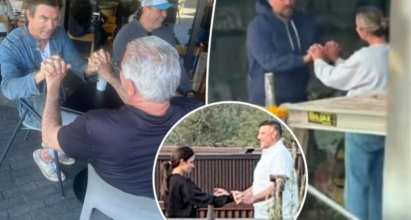Photos of Mike Vrabel and Dianna Russini holding hands at luxury hotel spark hilarious viral finger-linking trend