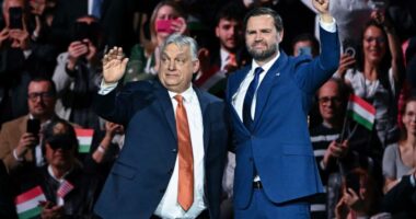 Populism lost in Hungary but still may win the war, one strategist argues