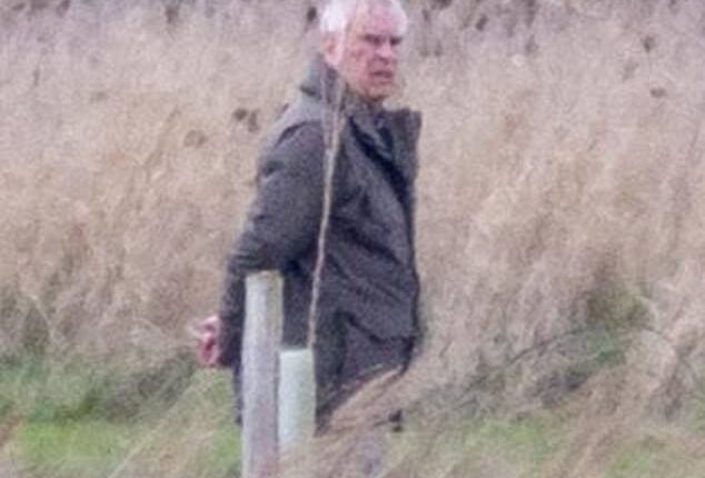 The disgraced former prince, 66, was pictured around the grounds of the King's Sandringham Estate in Norfolk on Saturday