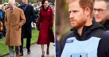 Prince Harry claps back after being called ‘not a working royal’
