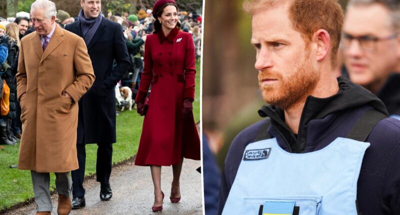 Prince Harry claps back after being called ‘not a working royal’