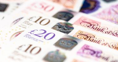 Public’s favourite banknote design picks revealed