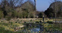 Robert Hardman visits the garden dedicated to the late Queen, a nature-lover