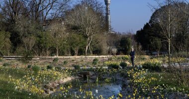 Robert Hardman visits the garden dedicated to the late Queen, a nature-lover