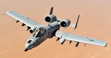 An A-10 Warthog combat plane crashed in the Persian Gulf near the Strait on Hormuz on Friday but the pilot was reportedly rescued. The pilot of a F-15E Strike Eagle aircraft that was also shot down on Friday remains unaccounted for