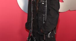 Former Migos member Offset, 34, was reportedly hit by gunfire while in Florida on Monday; pictured in November 2024 in LA