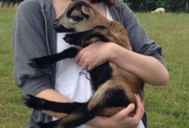 Read the chilling texts UFO-linked scientist sent before being found dead that raise major questions over suicide ruling