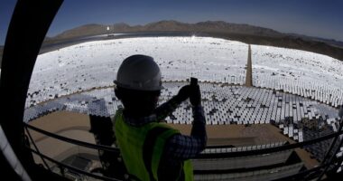 Reports of Ivanpah's Execution Appear to Have Been Greatly Exaggerated – HotAir