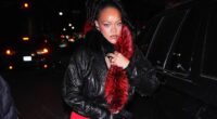 Rihanna's alleged shooting suspect faces potential life sentence