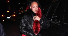 Rihanna's alleged shooting suspect faces potential life sentence