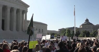 SCOTUS Protests After EPA Caves to Big Pharma. – The National Pulse
