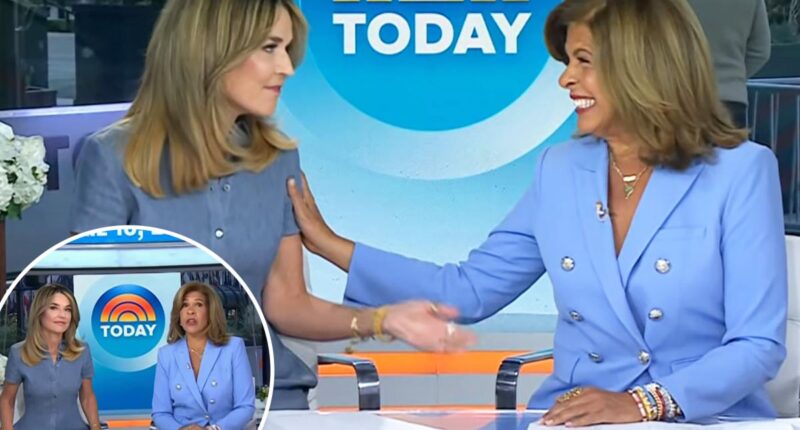 Savannah Guthrie and Hoda Kotb reunite on 'Today' show for first time in a year: 'Like old times'