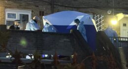 Police have launched a murder probe after a 14-year-old boy was shot dead in broad daylight in Woolwich London on Thursday (Pictured: The scene on Lord Warwick Street)