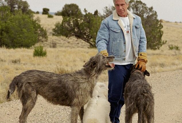 The New Mexico Attorney General's Office has launched an investigation into Jeffrey Epstein's sprawling Zorro Ranch. The pedophile is pictured at the property in this undated photo