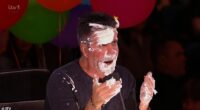 Simon Cowell was left SHOCKED as he got a pie to the face during Britain's Got Talent semi final on Wednesday as fans describe the moment as 'just perfection'