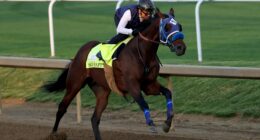 So Happy’s Kentucky Derby Run Carries a Powerful Family Legacy