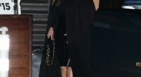 Sofia Vergara stunned in a tight fitting black leather skirt with a black turtleneck sweater as she stepped out for a romantic dinner in Malibu Saturday