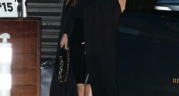 Sofia Vergara stunned in a tight fitting black leather skirt with a black turtleneck sweater as she stepped out for a romantic dinner in Malibu Saturday